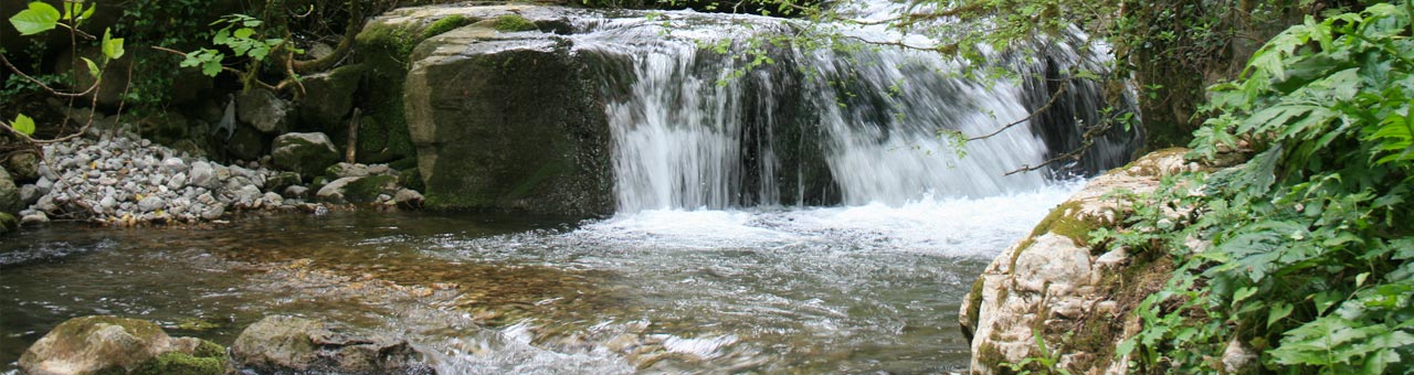 WWF Oasis in Morigerati waterfall